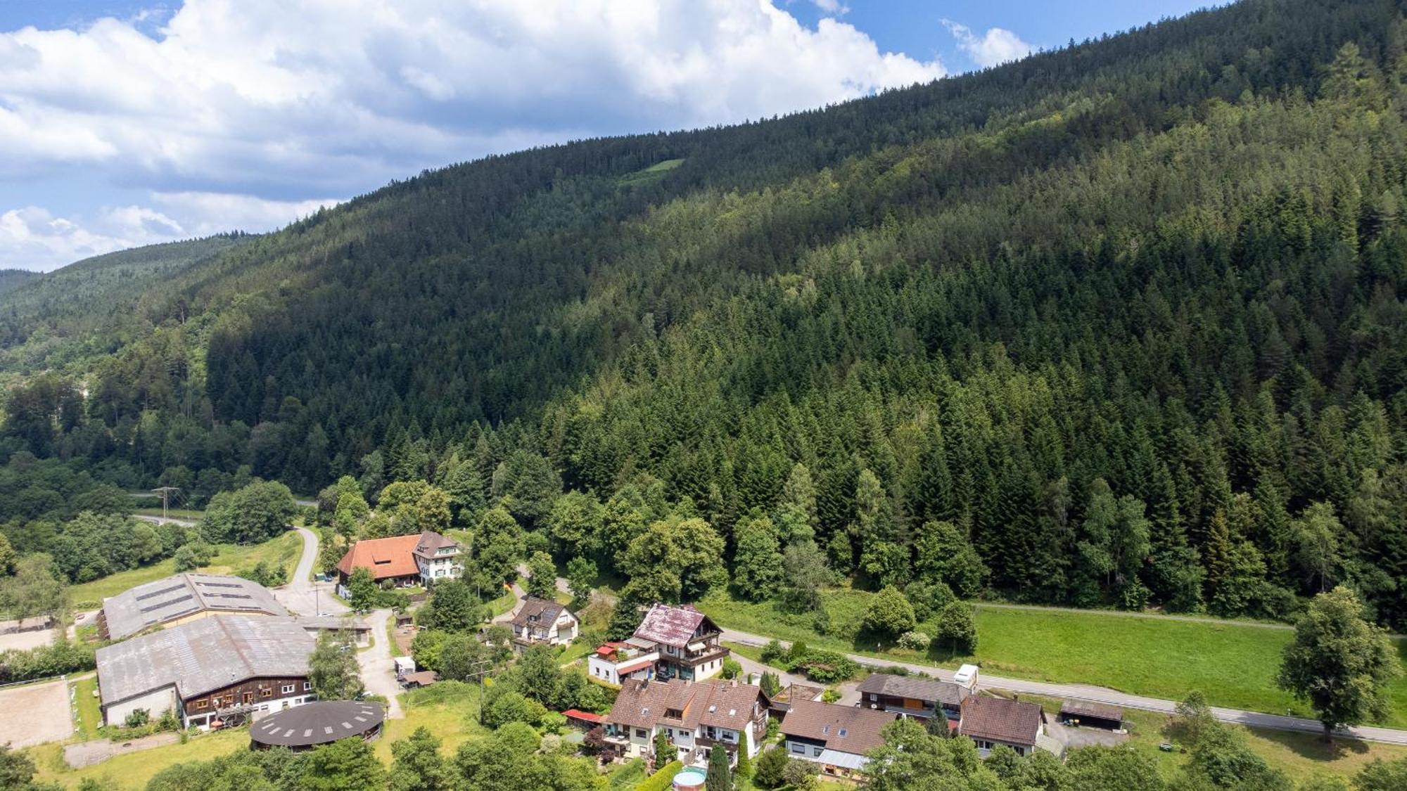 Black Forest Design Apartment Bad Wildbad Exterior photo